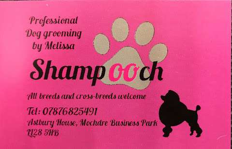 Shampooch Dog Grooming photo